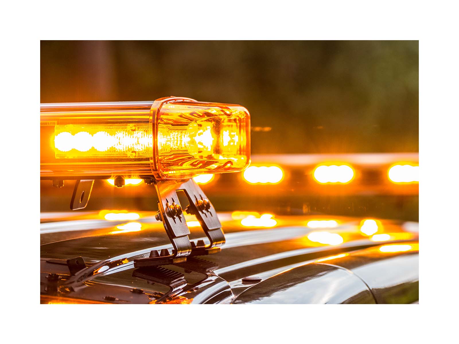 VEGA gelb – Bild 3